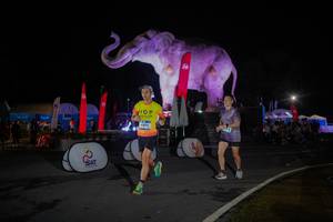 BIB: 
                            <button type="button" onclick="openModal(26551924)" class="btn btn-primary btn-sm float-right btn-popup" data-toggle="modal" data-target=".modal-high-quality">
                        <i class="fas fa-shopping-cart"></i> Add to Cart
                    </button>
                                            <button type="button" onclick="isThisMe(26551924, true)" class="btn btn-success btn-sm float-right btn-popup btn-isme hidden" data-toggle="tooltip" data-placement="bottom" title="นี่คือรูปของคุณใช่ไหม คลิกที่นี่เพื่อเอาเข้าอัลบั้ม">
                        <i class="fas fa-plus"></i> Add to album
                    </button>
                    <button type="button" onclick="isThisMe(26551924, false)" class="btn btn-warning btn-sm float-right btn-popup btn-isnotme hidden">
                        <i class="fas fa-ban"></i> Remove from album
                    </button>